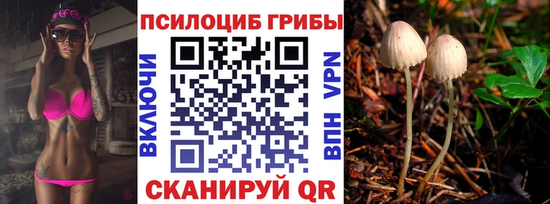 купить наркотик  Партизанск  Галлюциногенные грибы Psilocybe 